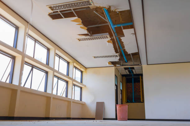 Best Water damage repair service  in Burlington, VT