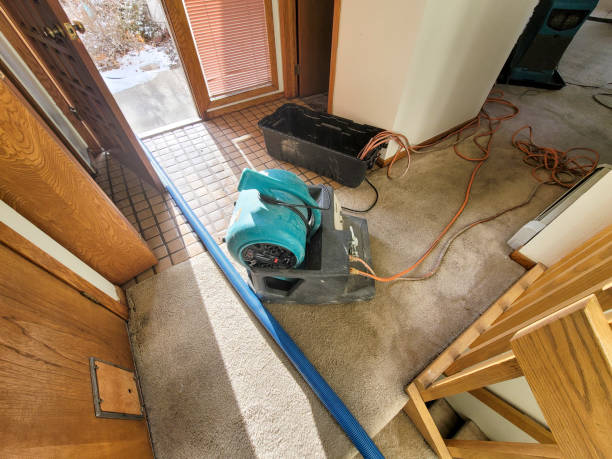 Best Water damage restoration near me  in Burlington, VT