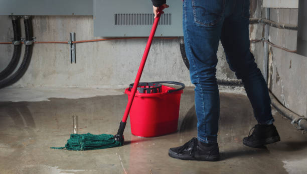 Best Basement water damage restoration  in Burlington, VT