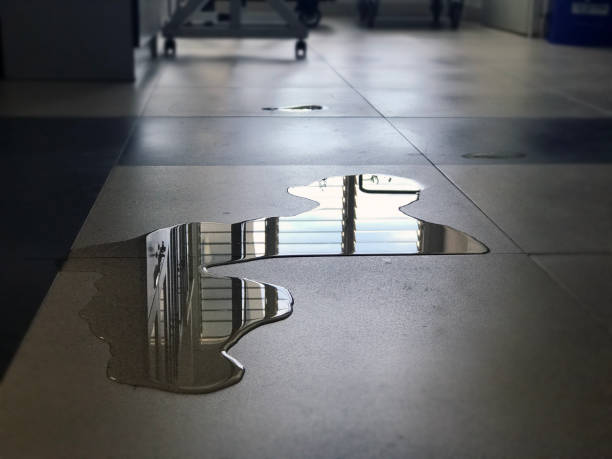 Best 24-hour water damage restoration  in Burlington, VT