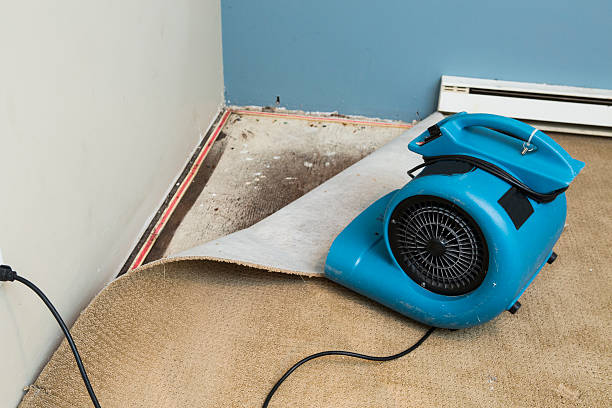 Best Ceiling water damage repair  in Burlington, VT